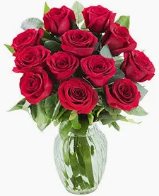 Tim Ollier New South Wales Obituary, Beloved Resident has Died